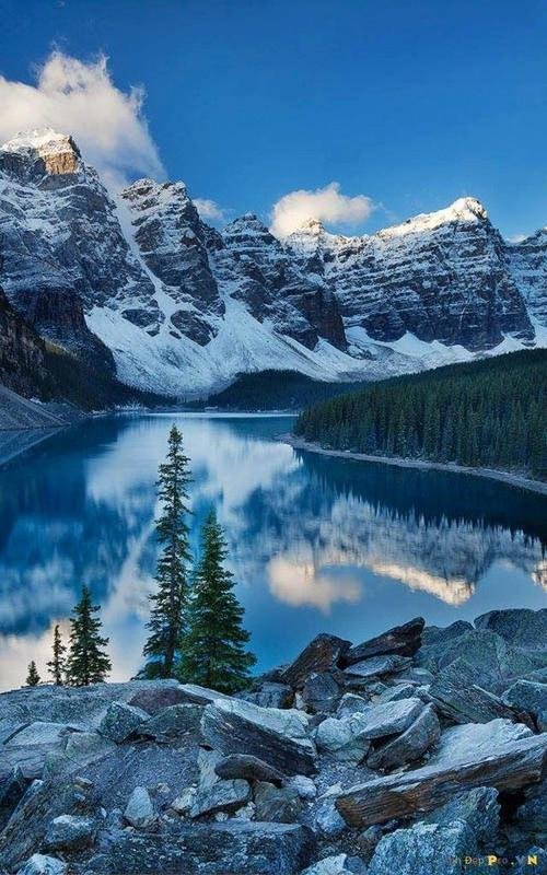 60 Bizarre Photos And The Chilling Stories Behind Them