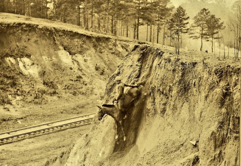 60 Bizarre Photos And The Chilling Stories Behind Them