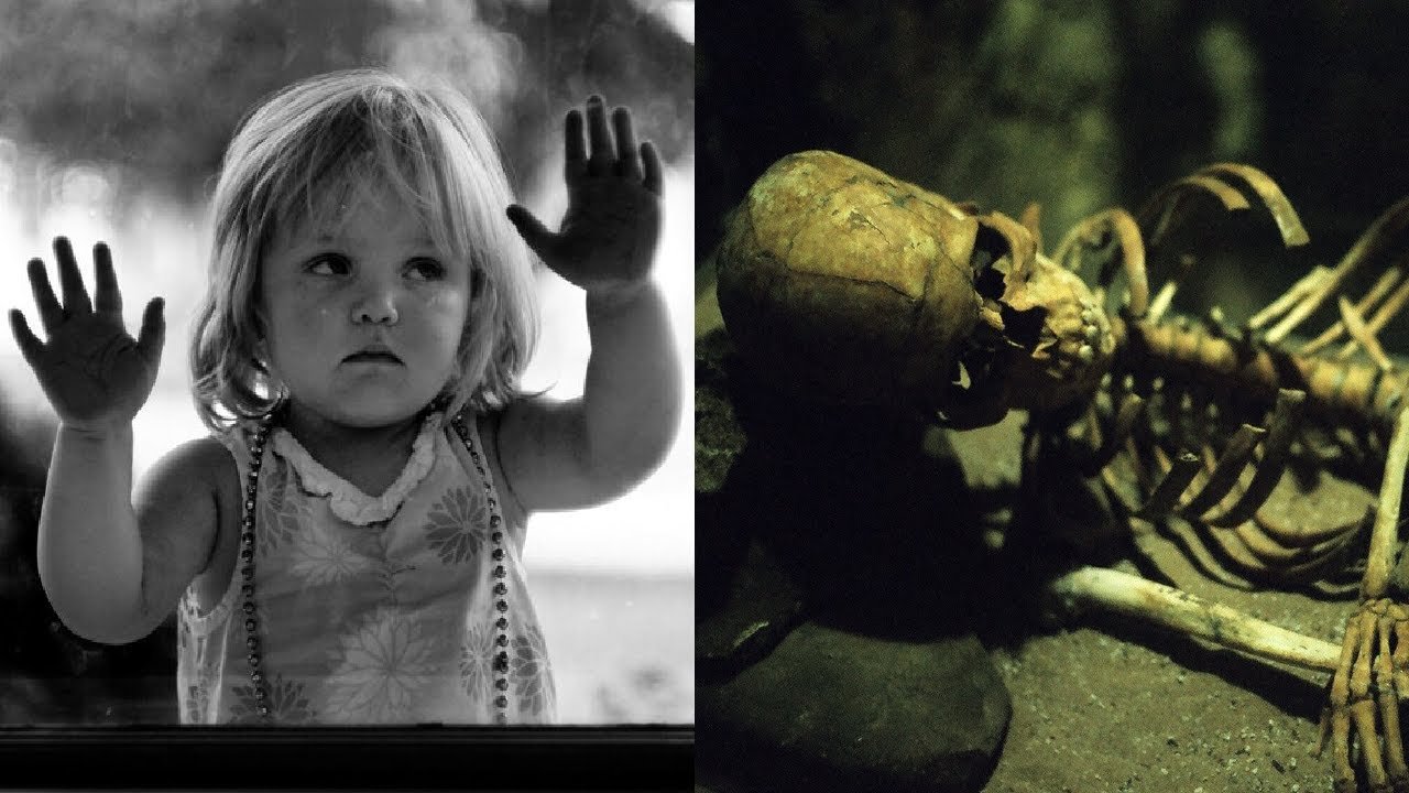 In 2019 A Woman Told Police That She’d Seen A Body Being Buried In Her Back Yard 40 Years Ago