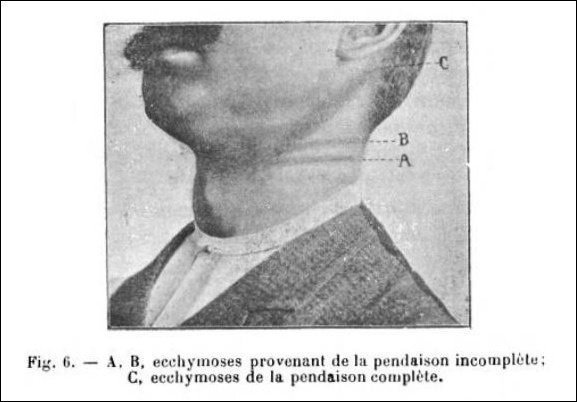 The weirdest experiments performed throughout history