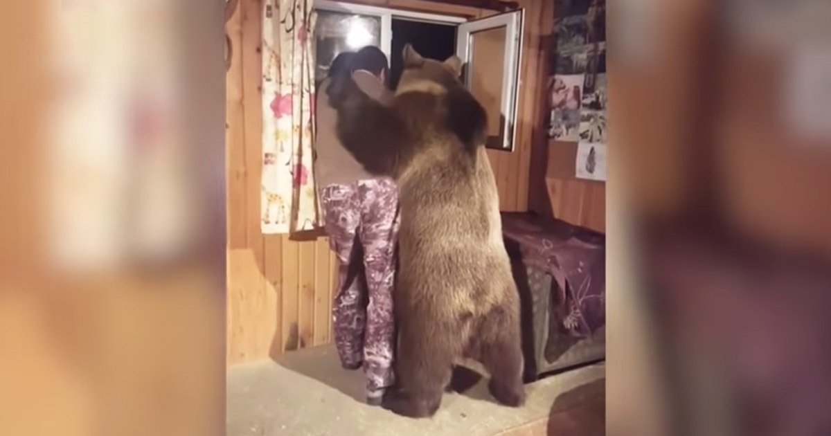 Cute Domestic Bear Wraps Owner In A Big Cuddly 'Bear-Hug'