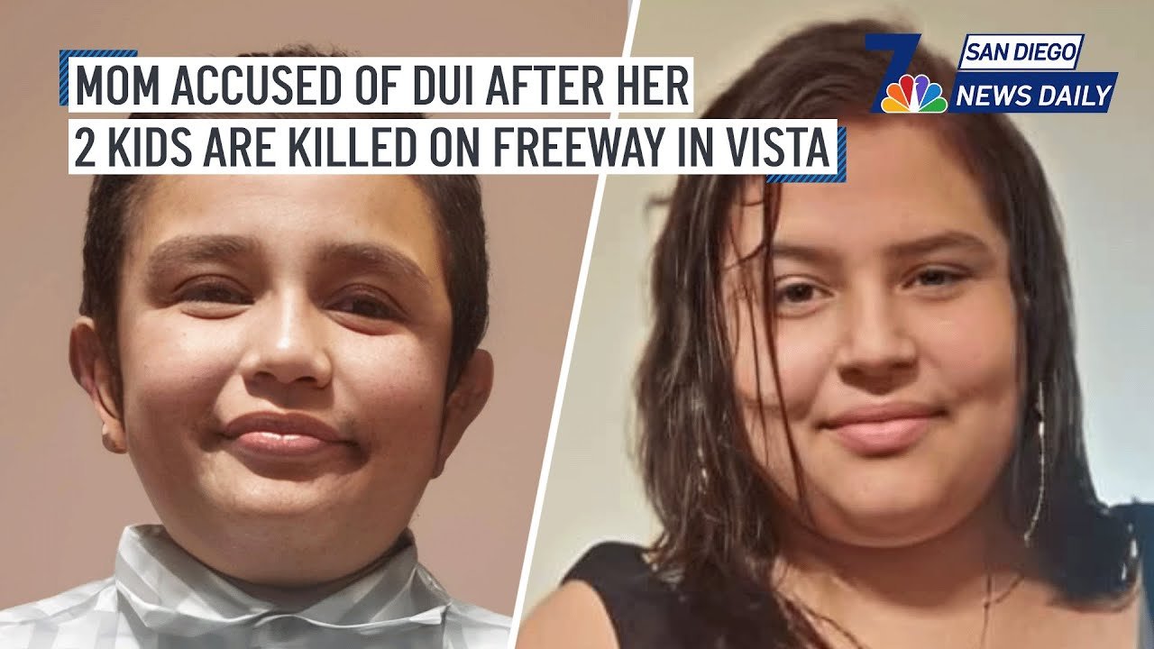 FULL STORY > Mom charged with DUI after children killed running onto California highway to get luggage